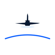 Pilot Perception